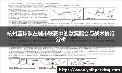 杭州篮球队在城市联赛中的默契配合与战术执行分析