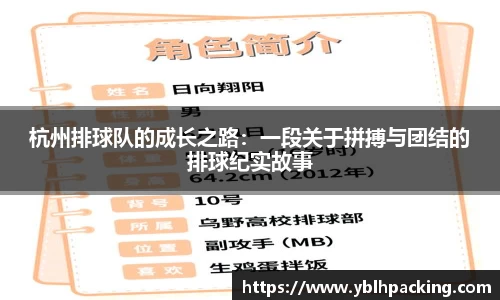 杭州排球队的成长之路：一段关于拼搏与团结的排球纪实故事
